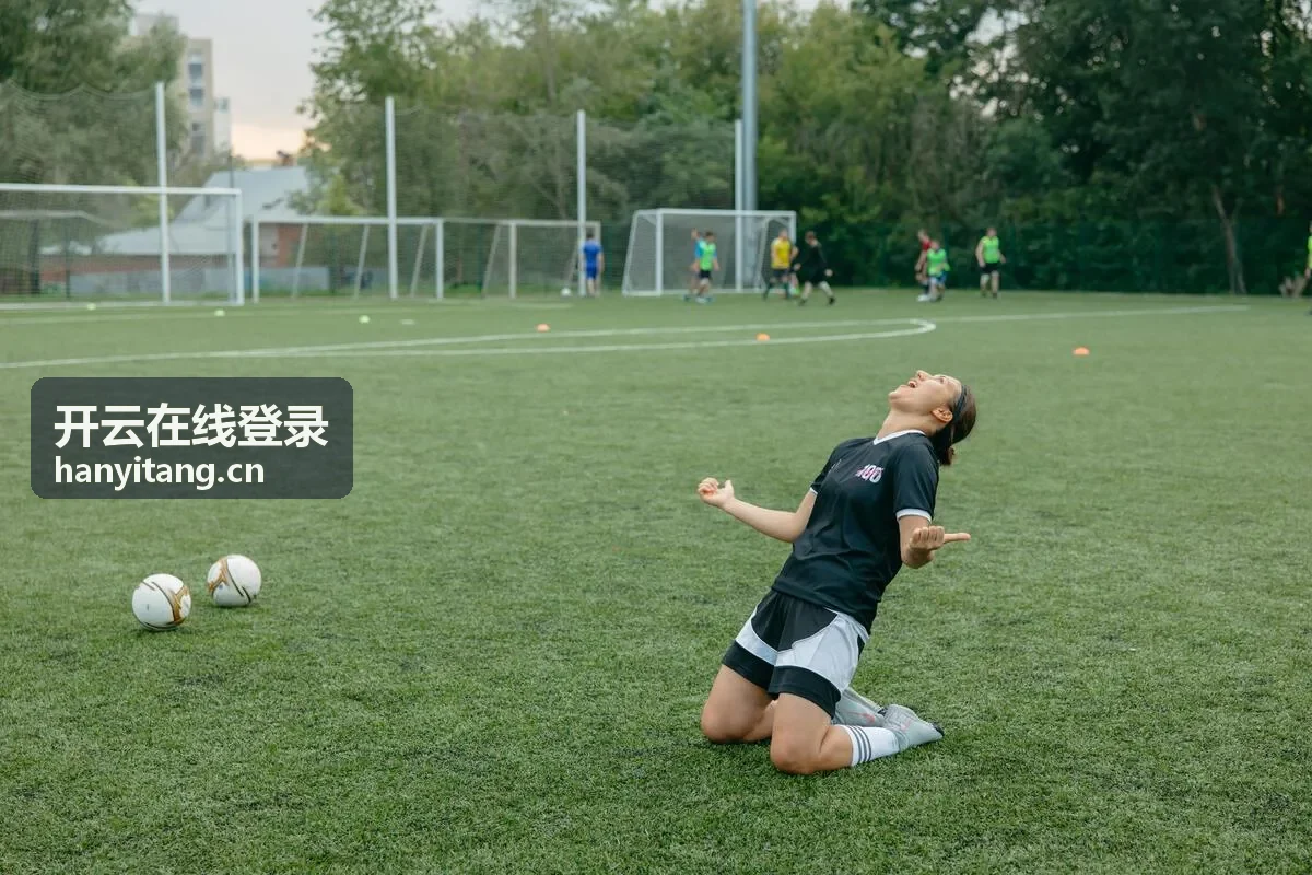 开云在线登录桌面端入口示意