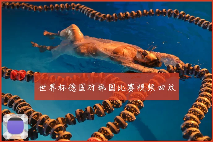 世界杯德国对韩国比赛视频回放