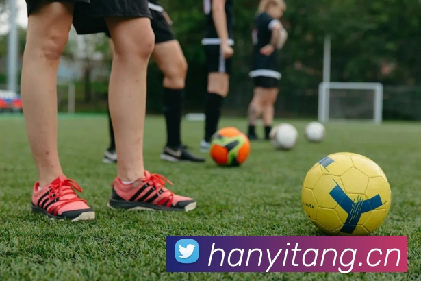 大阳城手机版下载安装(中国)官方网站平台生态图